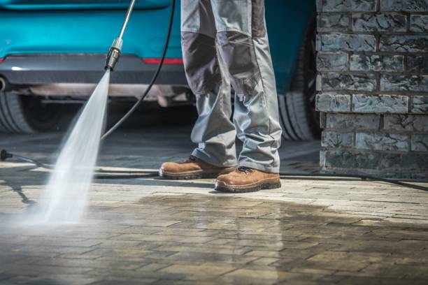 Best Driveway Cleaning and Restoration in Pleasanton, TX