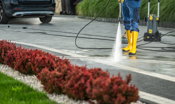 Best Gutter Cleaning and Brightening in Pleasanton, TX
